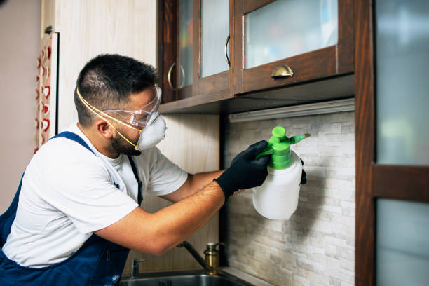 Best Pest Removal Services  in Stratford Downtown, CT